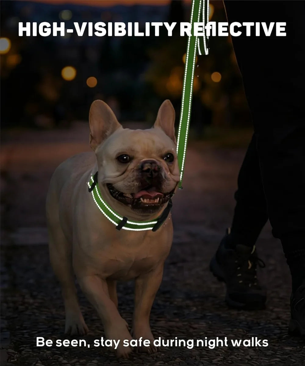 Reflective Nylon Dog Collars,