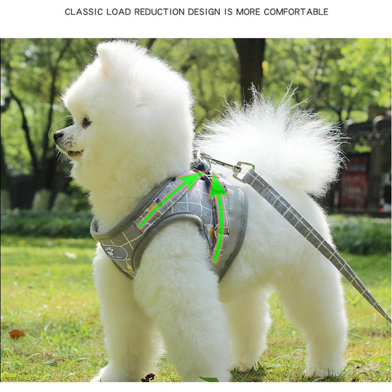 Nylon Puppy Harness Vest with Leash