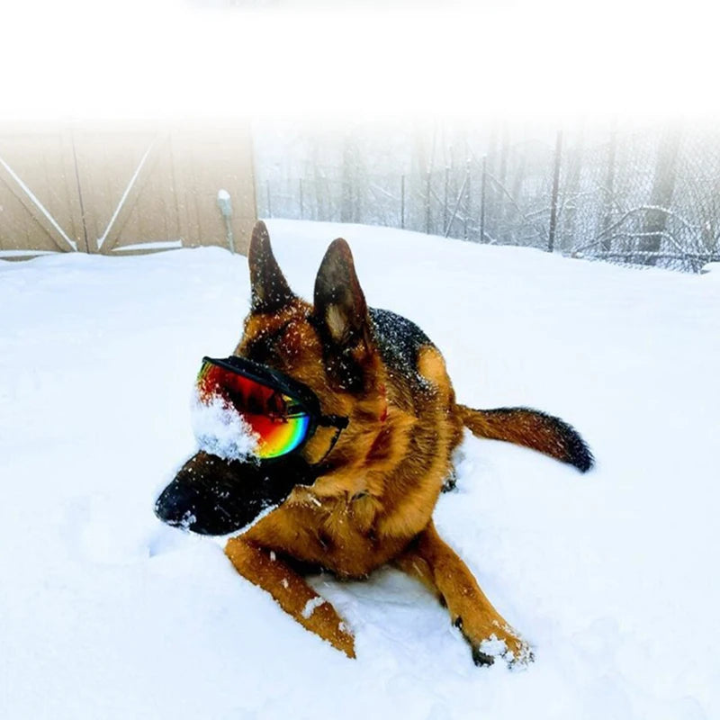 Anti-UV  Dog Goggles