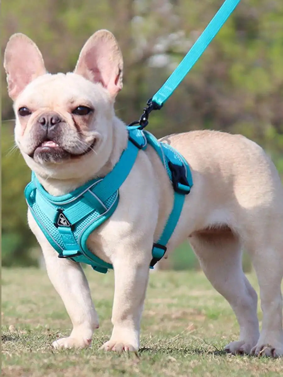 Reflective Pet Harness And Leash Set,