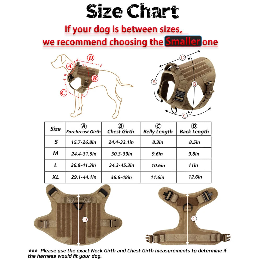 Large Dog Training Harness And Leash Set