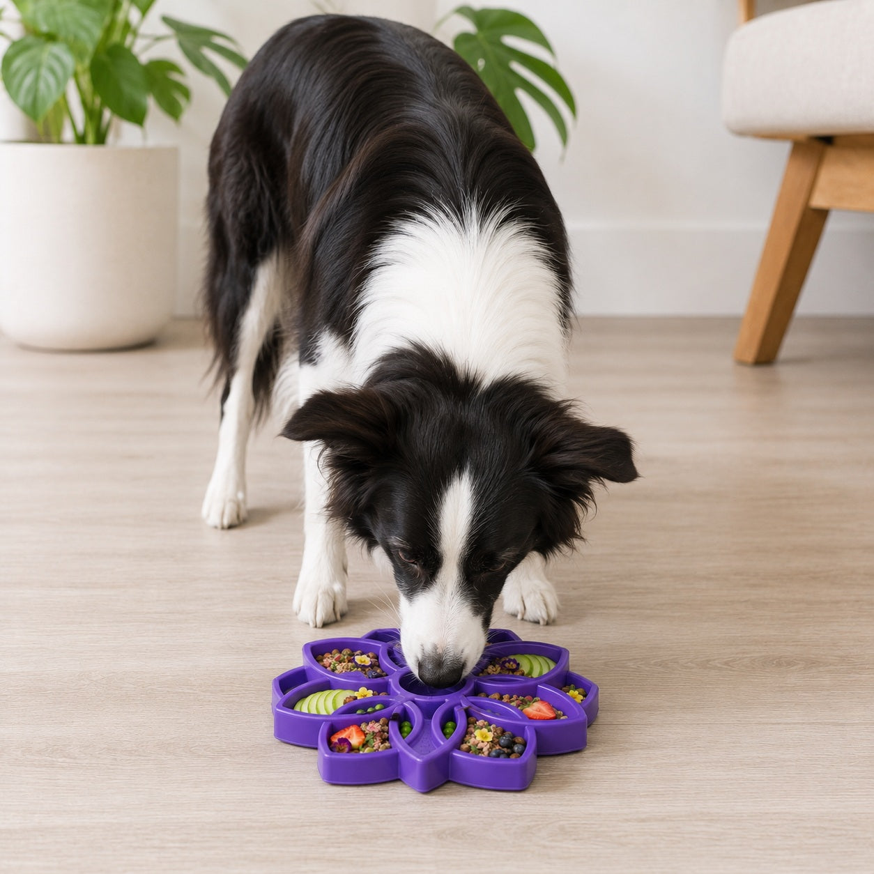 Mandala eTray Shallow Slow Feeder Dog