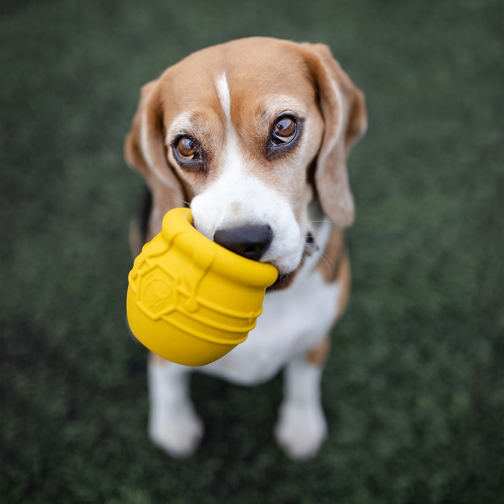 Honey Pot Dog eCup Treat Dispenser
