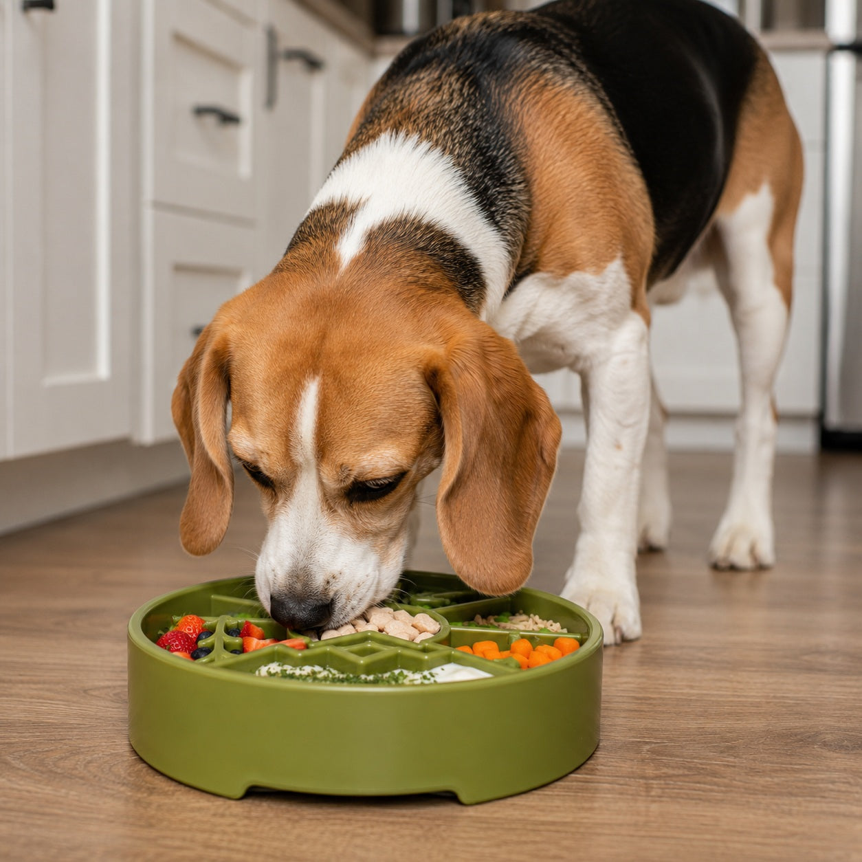 - Slow Feeder Dog Bowl