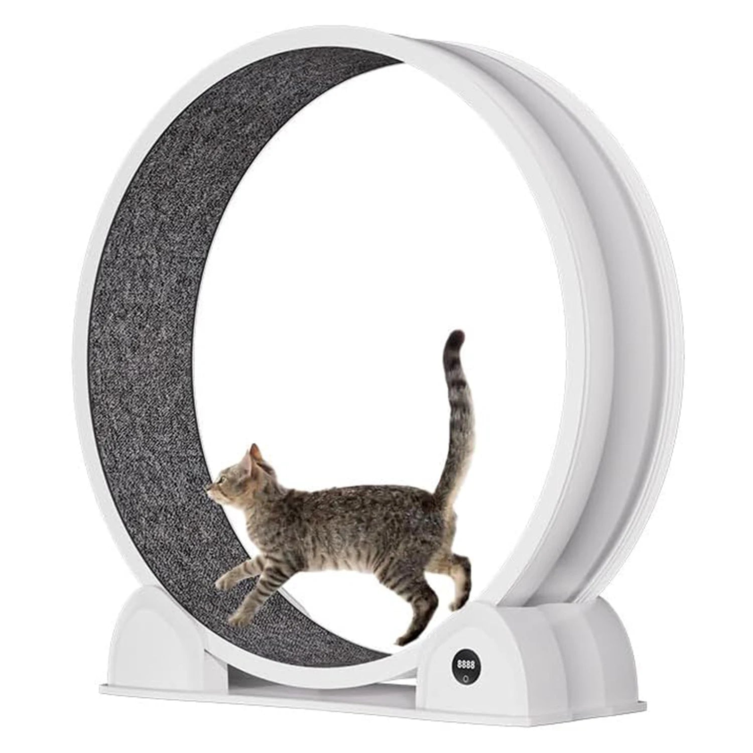 Indoor ABS Cat Wheel Exercisers