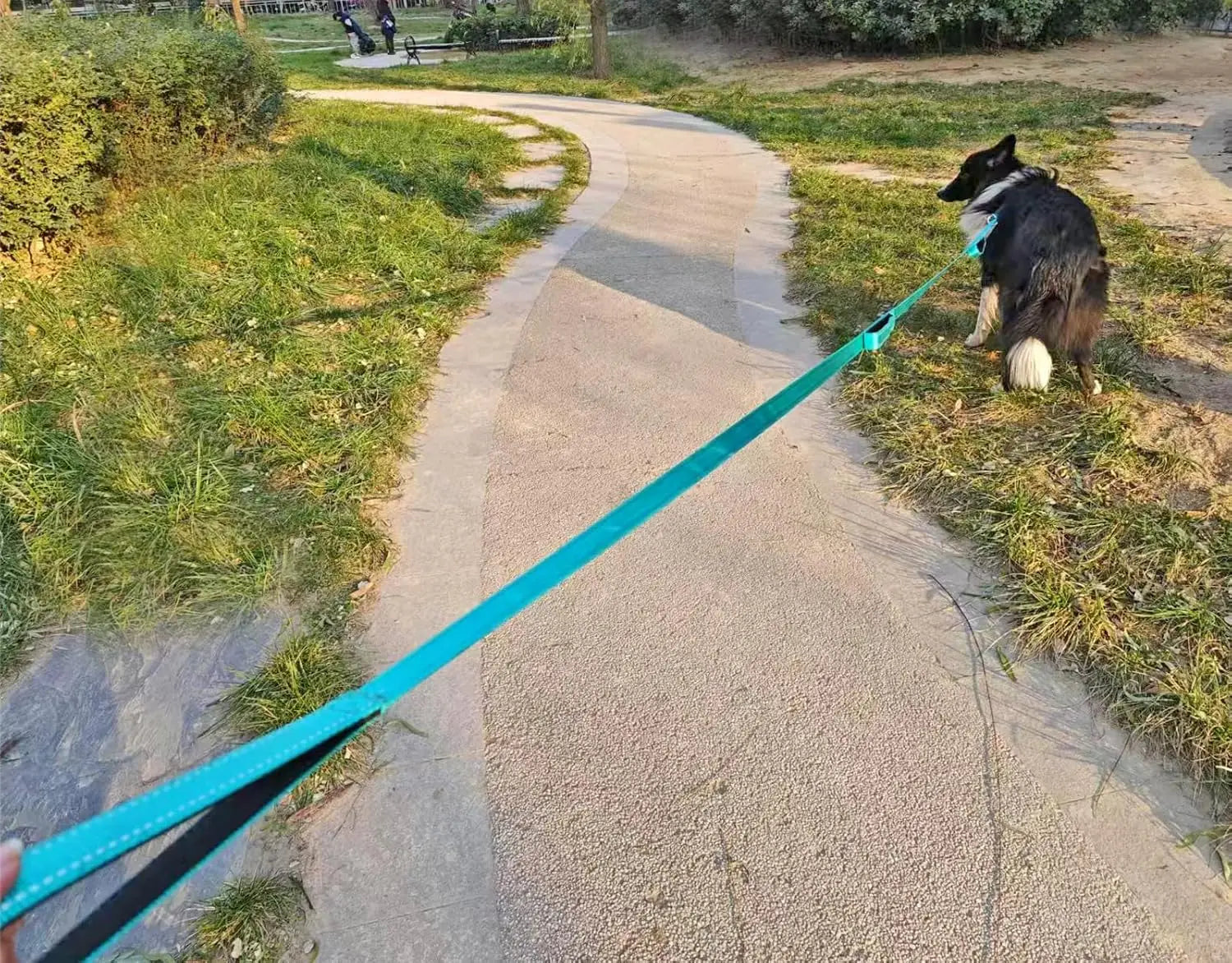 10FT Triple Handle Dog Leash
