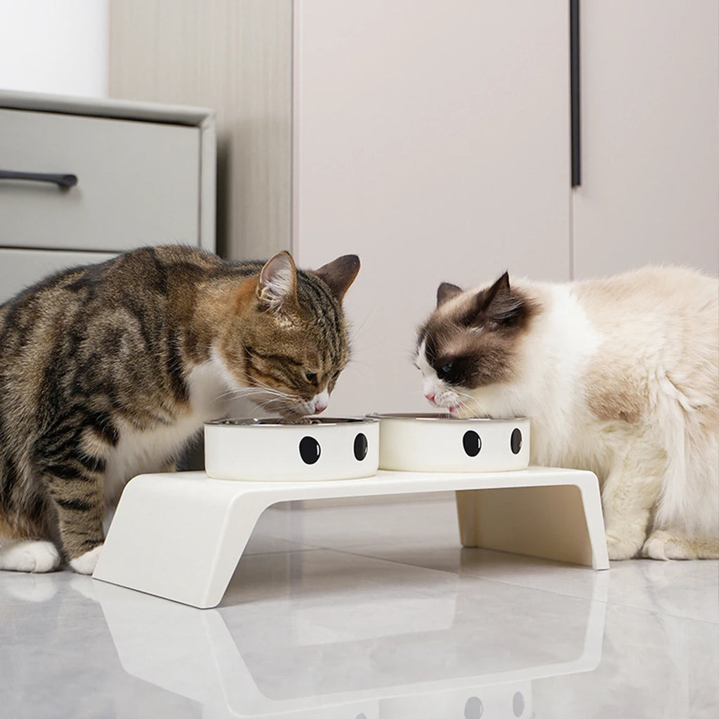 Elevated Pet Dog Feeder Bowls