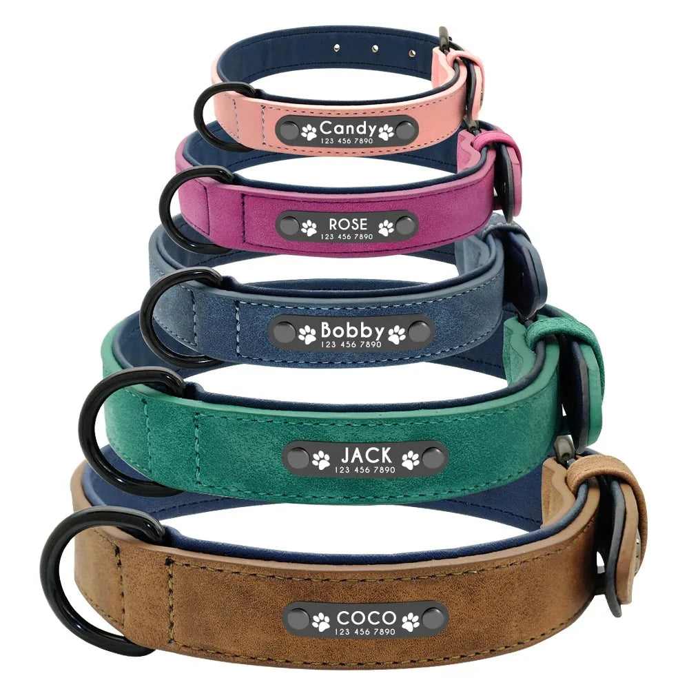 Personalized Name ID Tags Dog Collars Custom Text