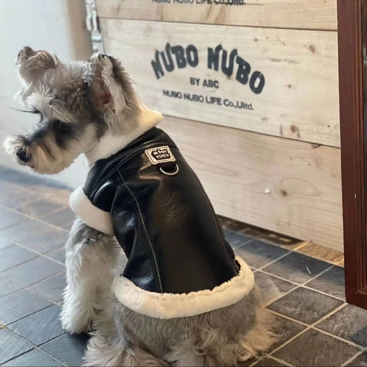 Pet Padded Vest Solid-Colour