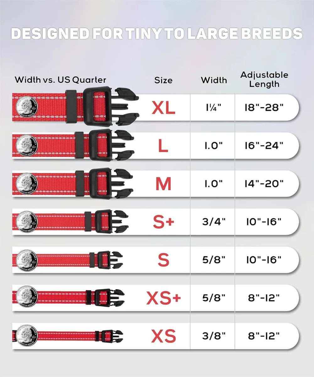 Reflective Nylon Dog Collars,