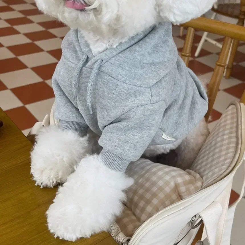 Letter Hoodie Pet Clothing for Dog