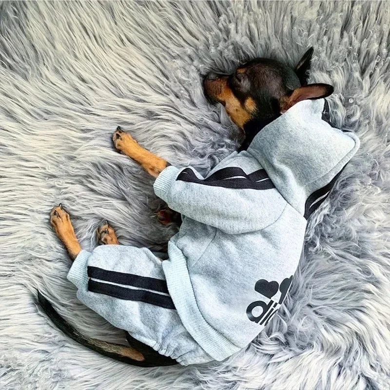 French Bulldog  Sweat Suit Puppy Pet Clothes