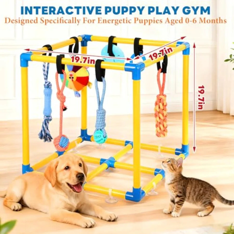 Puppy Play Gym for Small Dogs with 10 Hanging Toys