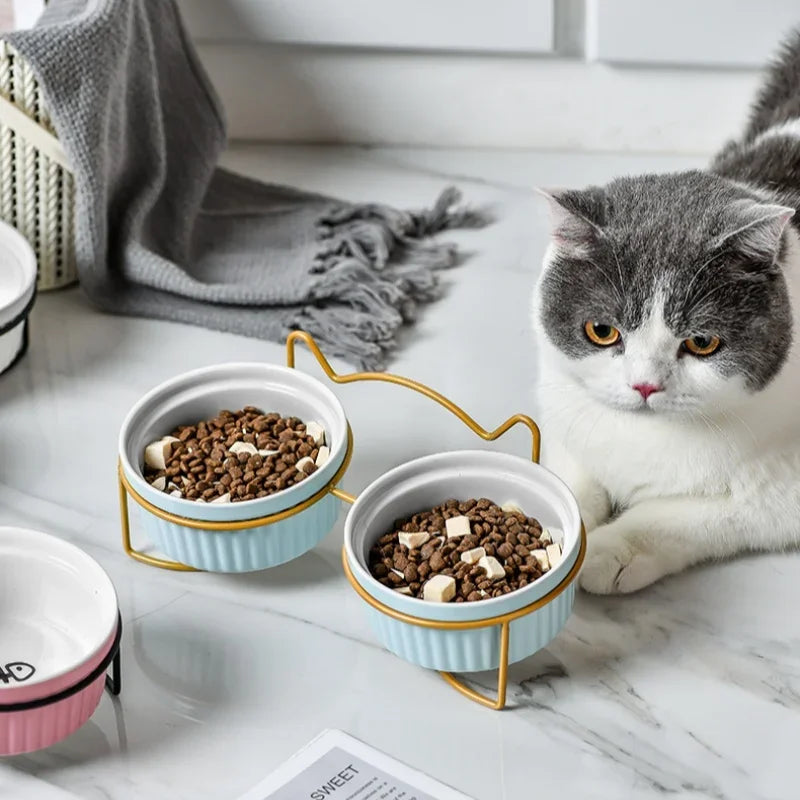 Single Or Double Tilt Bowl Ceramic Bowl for Dog Cat