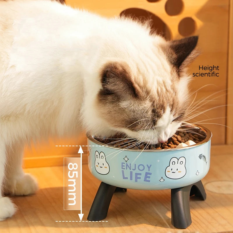 Non-slip elevated Pet food bowl with stand,