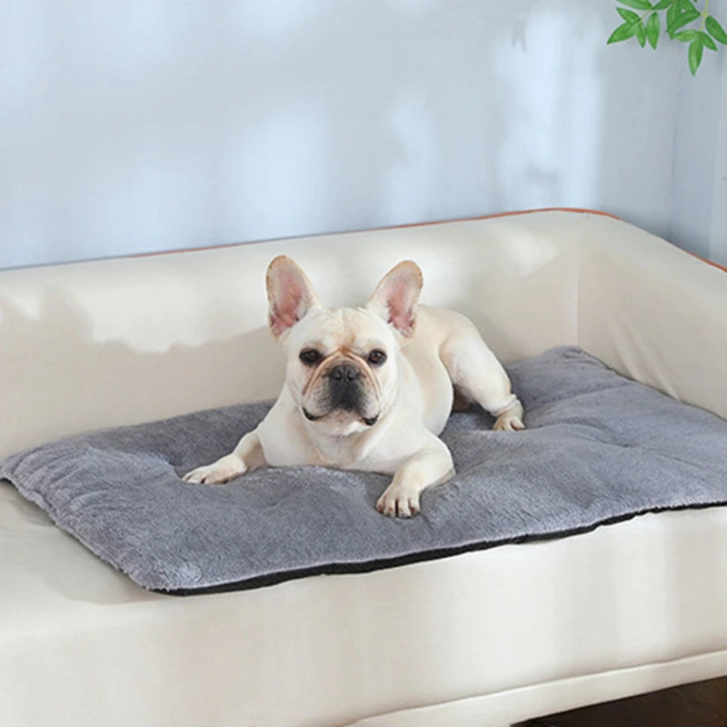 Dog Bed Short Plush Heated Sleeping Mat