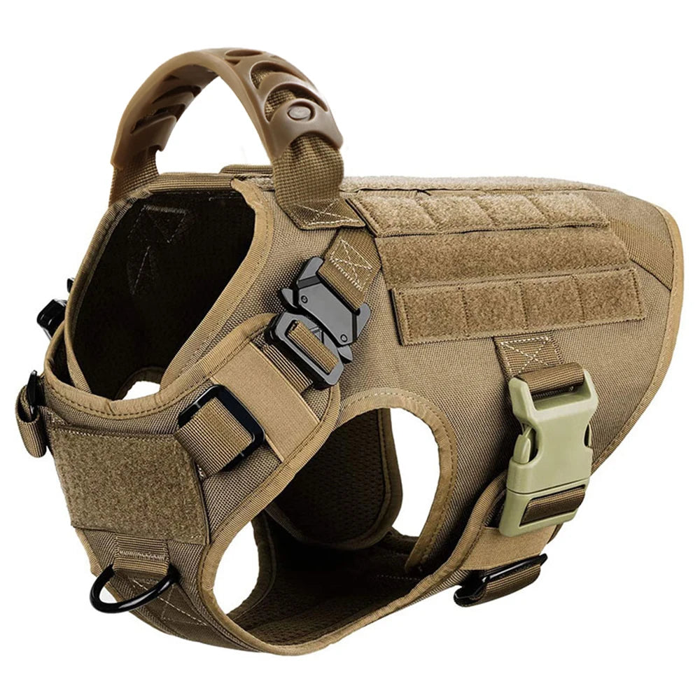 Large Dog Training Harness And Leash Set