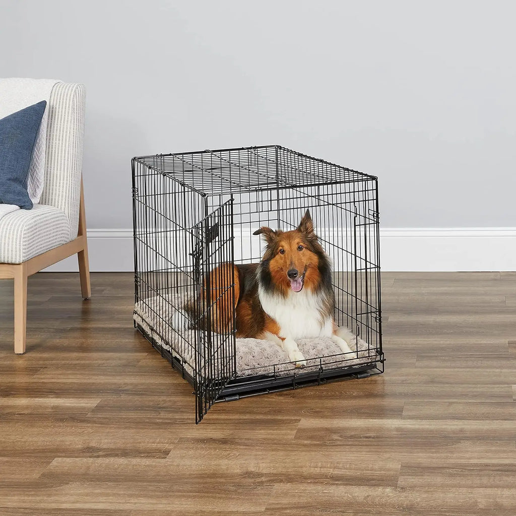 36-Inch Dog Crate for Medium-Large Breeds