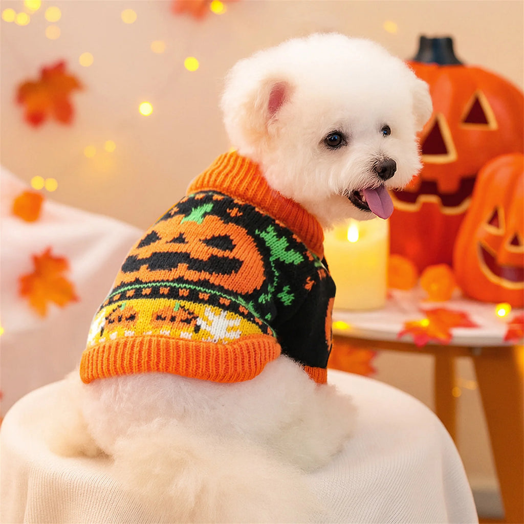 Halloween Jack-o-lantern Costume for Dogs and Cats