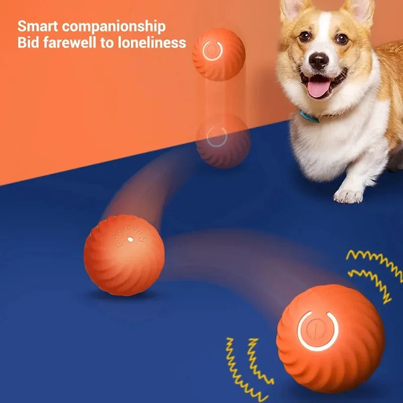 Toy Dog Ball, Automatic Moving Bouncing Rolling Ball