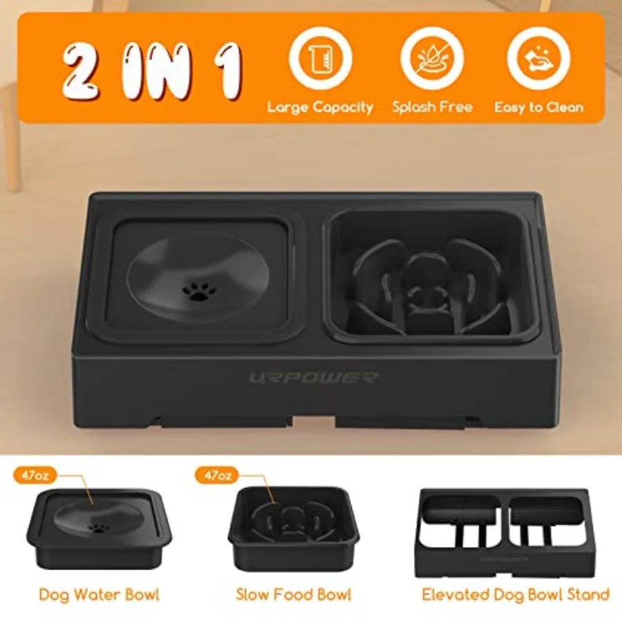 2-in-1 Elevated Dog dish with Height-Adjustable
