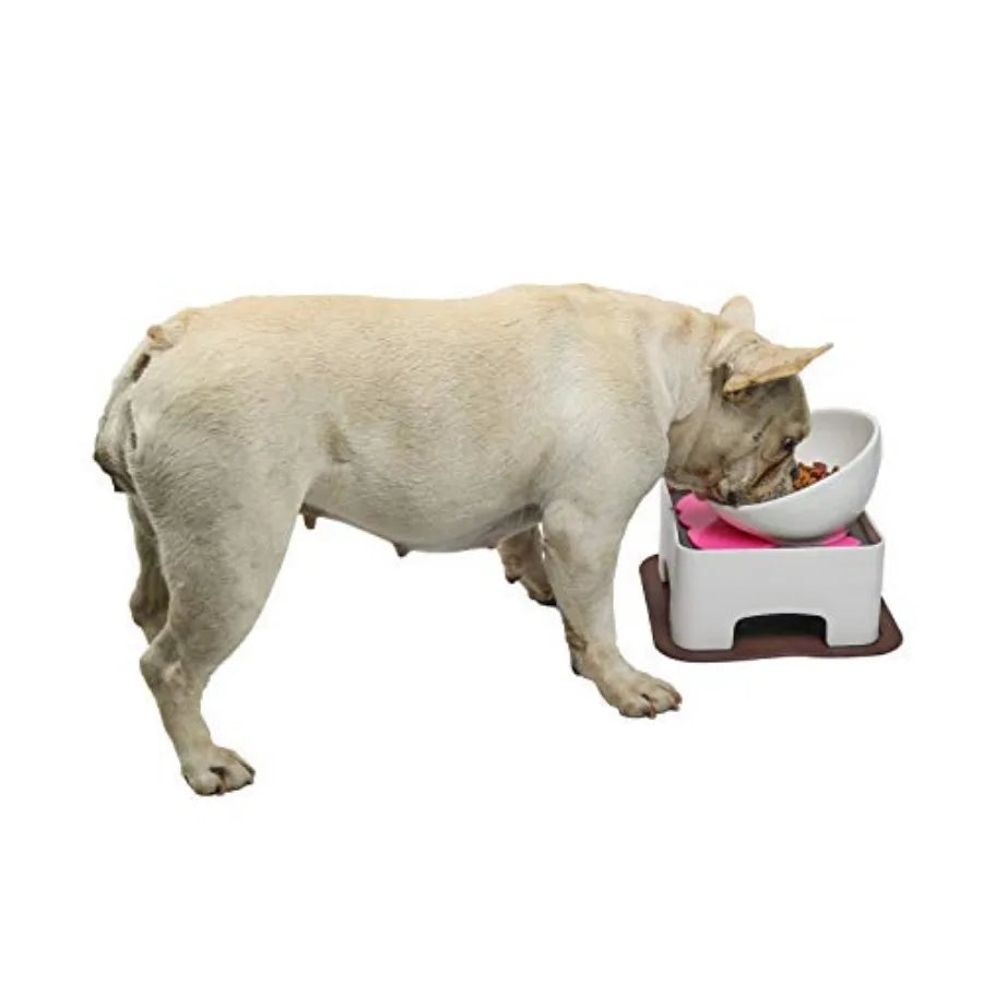 Raised Ceramic Dog Feeding Bowl