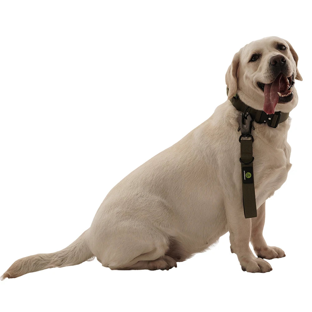 Short Dog Leash Traffic Padded Handle Nylon Dog Lead
