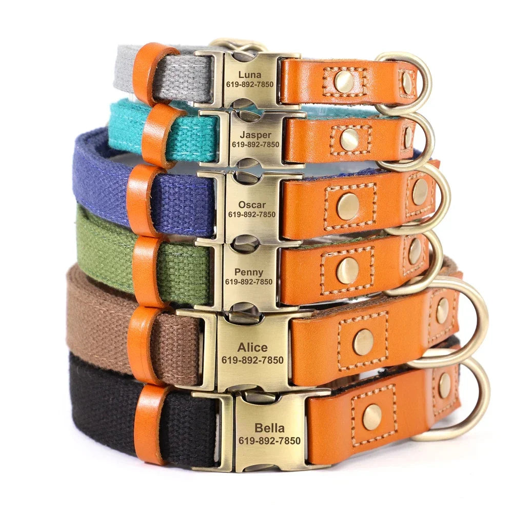 Personalized Nylon Custom Puppy Dog Collar Leash Set