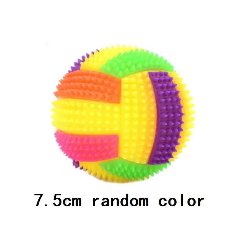 Interactive Glowing Ball Dog Toy