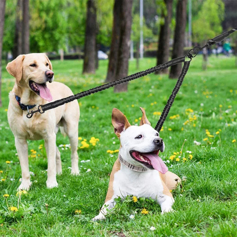 No Tangle Pet Dog Double Leashes
