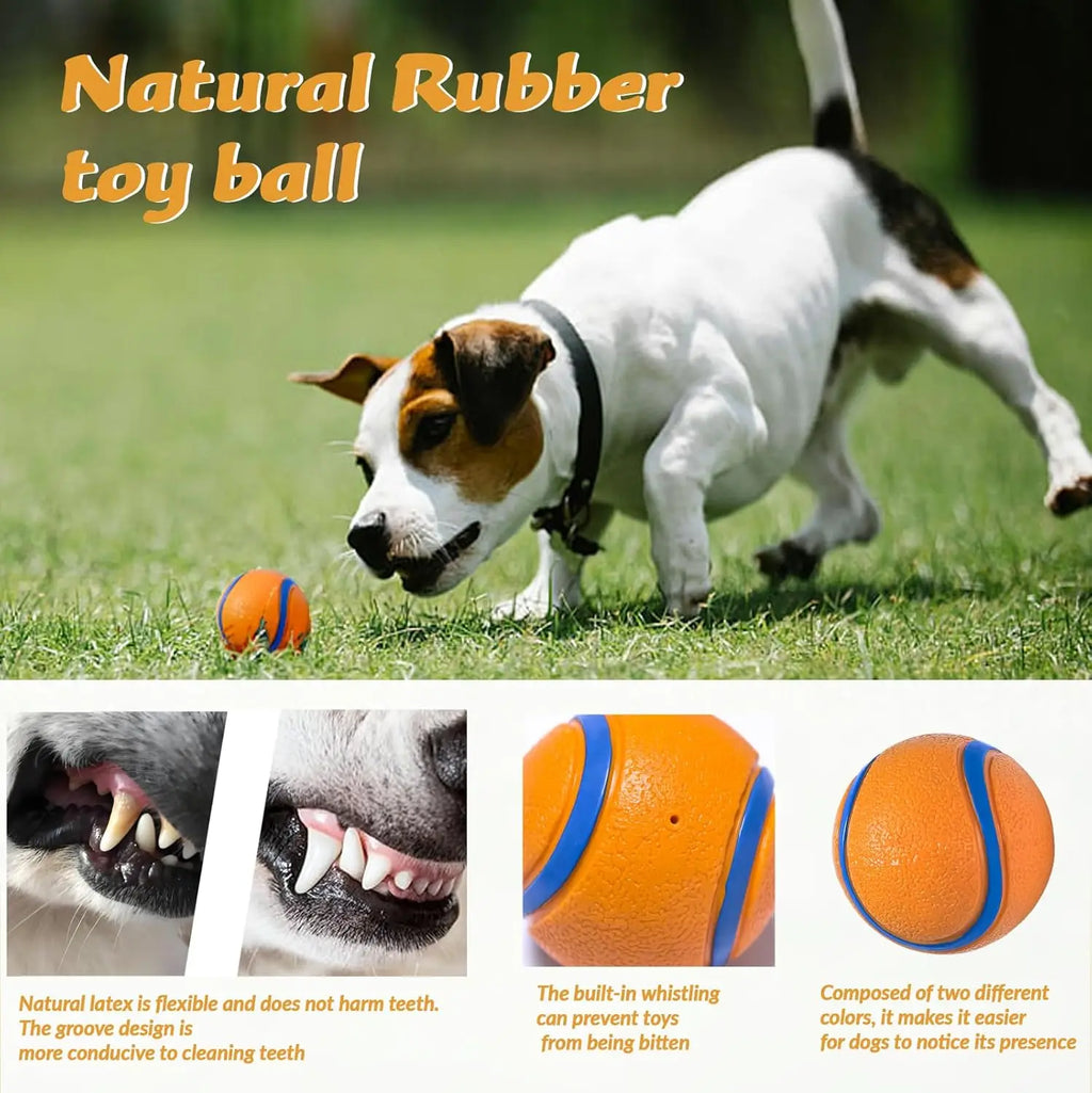 Rubber Pet Chew Ball -