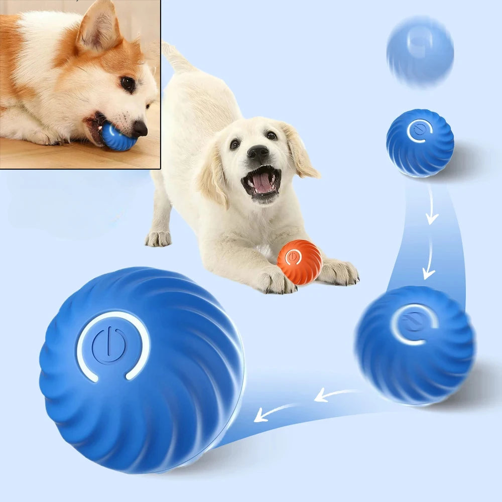 Toy Dog Ball, Automatic Moving Bouncing Rolling Ball