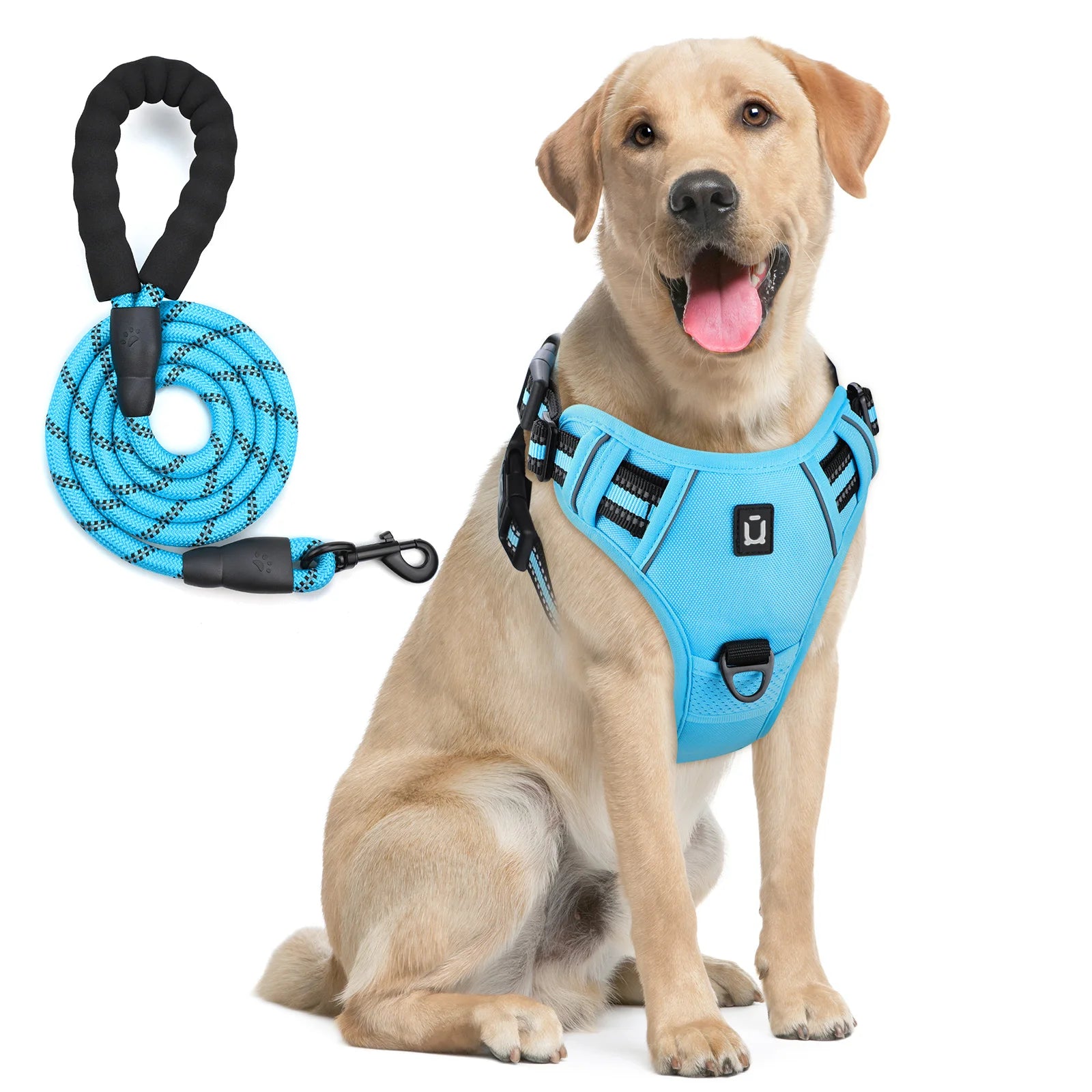 Assorted colors, Dog Harness and Leash Combo, Escape Proof