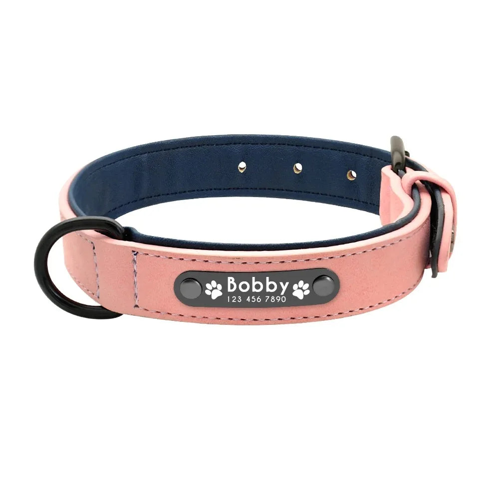 Personalized Name ID Tags Dog Collars Custom Text