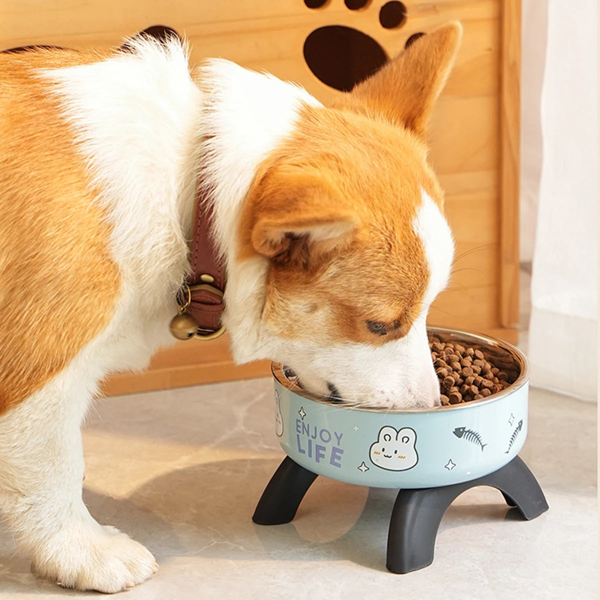 Non-slip elevated Pet food bowl with stand,