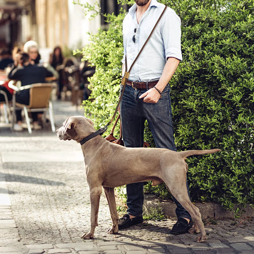 1.8M Large Dog Leash Waist Chain Traction Leash F