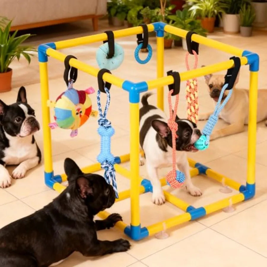 Puppy Play Gym for Small Dogs with 10 Hanging Toys