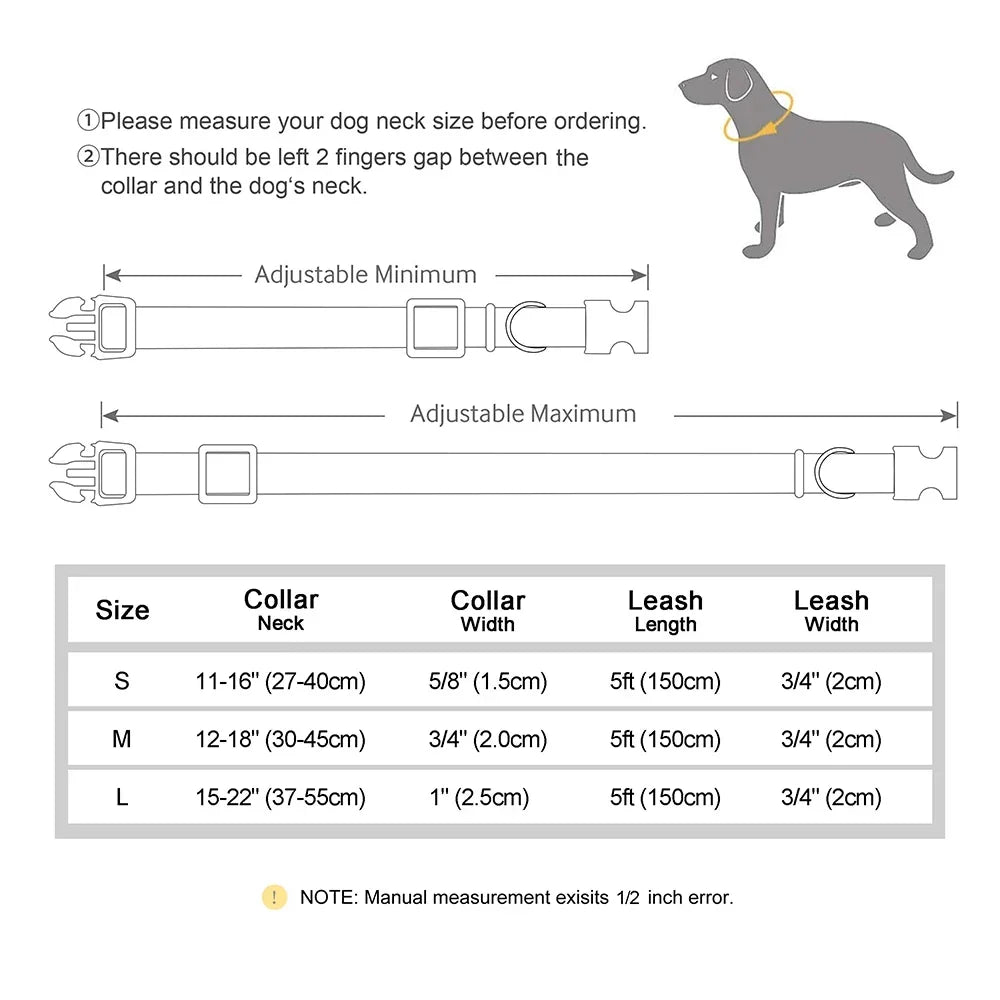 Personalized Nylon Custom Puppy Dog Collar Leash Set