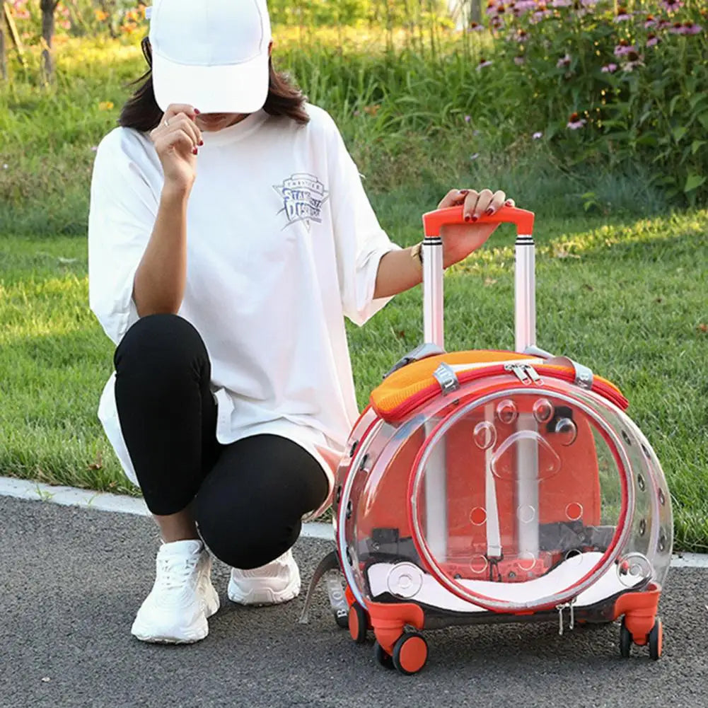 Pet  Cat  Trolley Case with Ventilation Holes