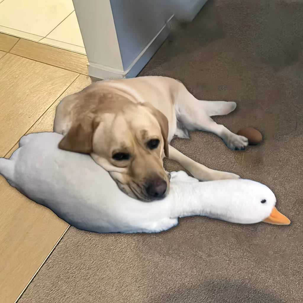 White Realistic  Duck Dog Toy
