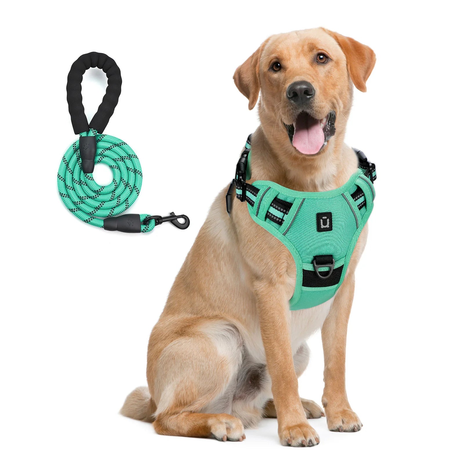 Assorted colors, Dog Harness and Leash Combo, Escape Proof
