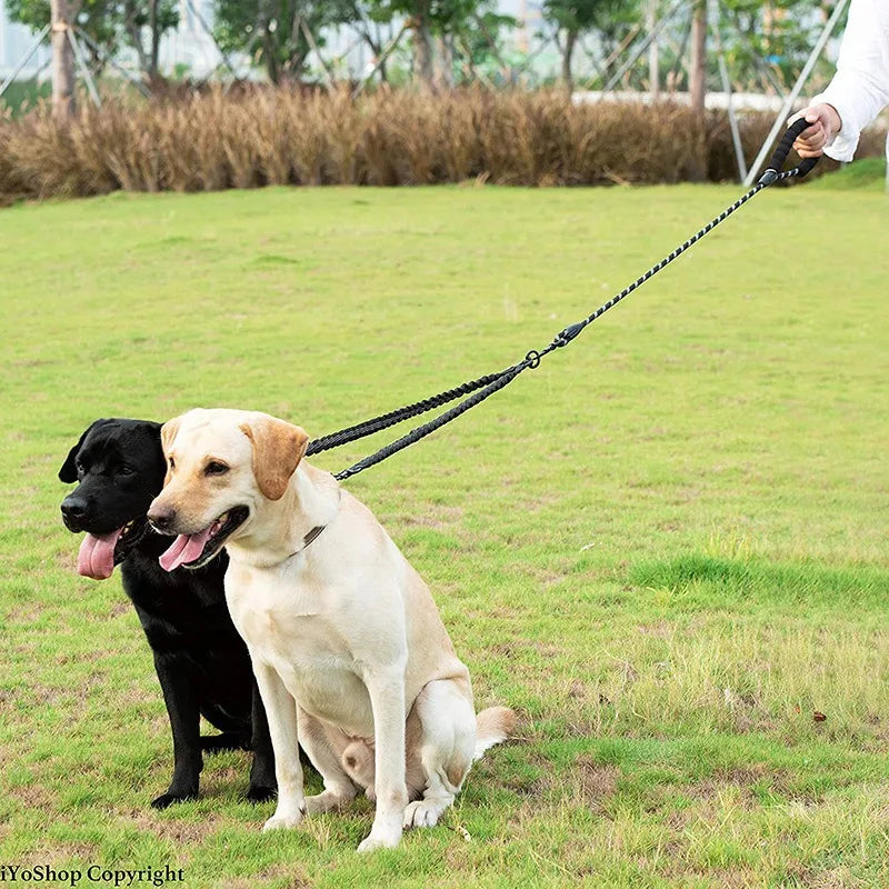 No Tangle Pet Dog Double Leashes