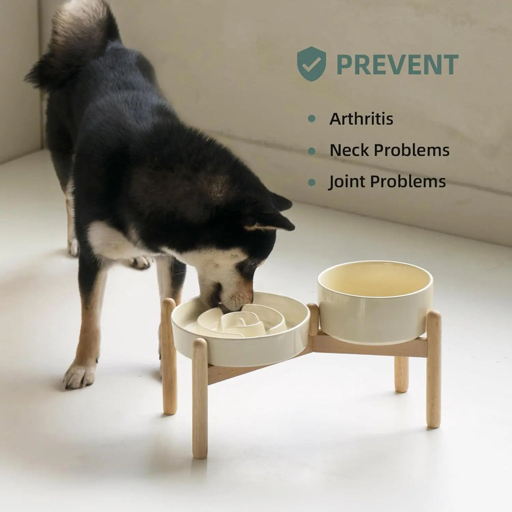 Ceramic Raised Slow Feeder Dog Bowl Set with Wooden Stand