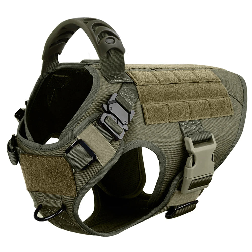 Large Dog Training Harness And Leash Set