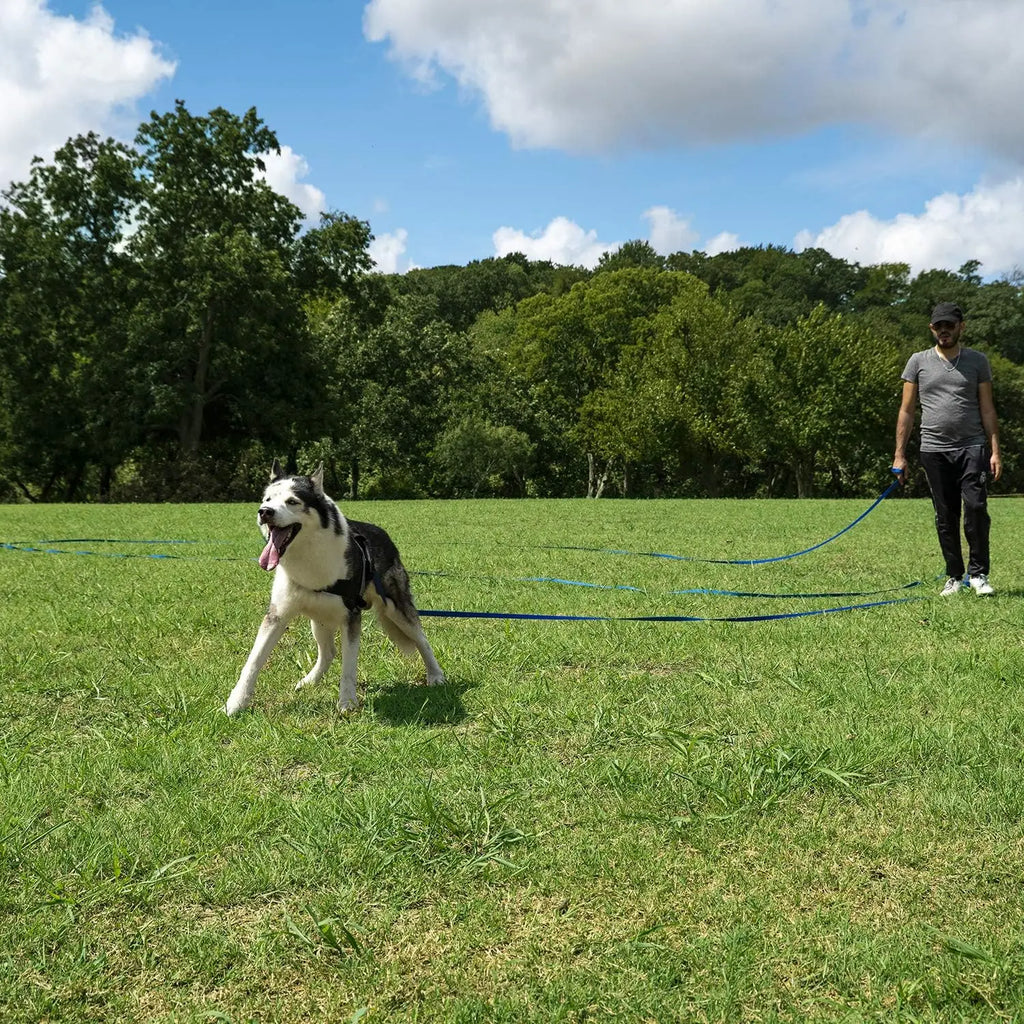 Long Dog Training Leash 15ft to 100ft
