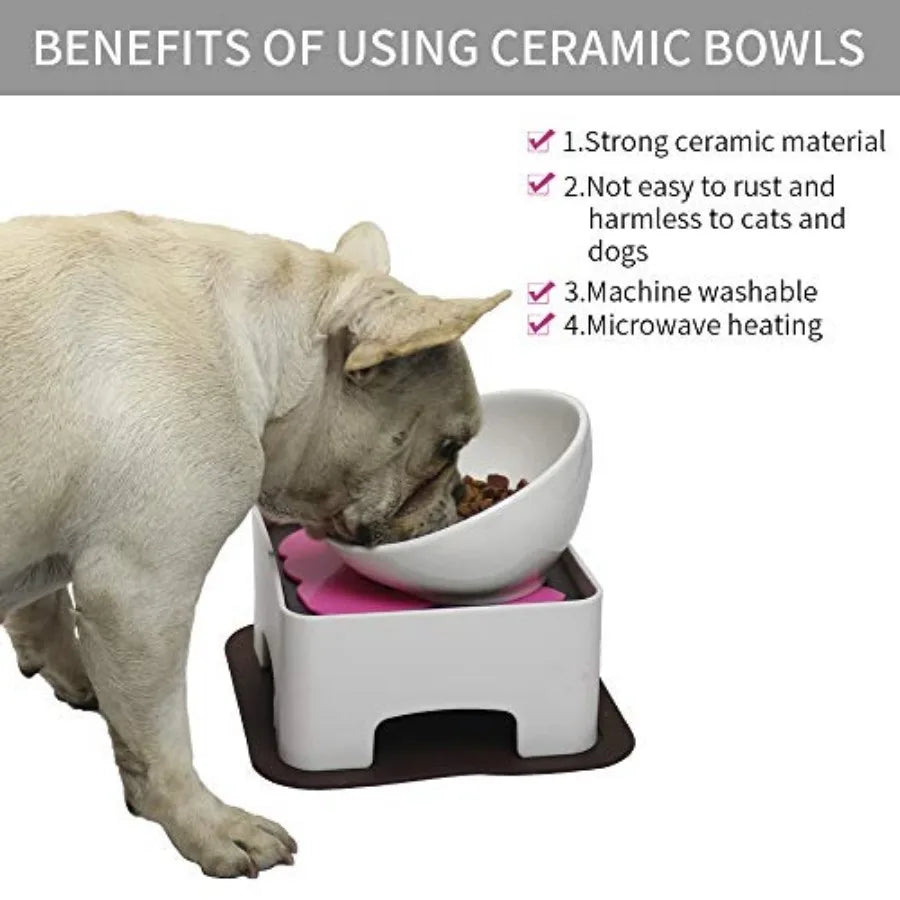 Raised Ceramic Dog Feeding Bowl