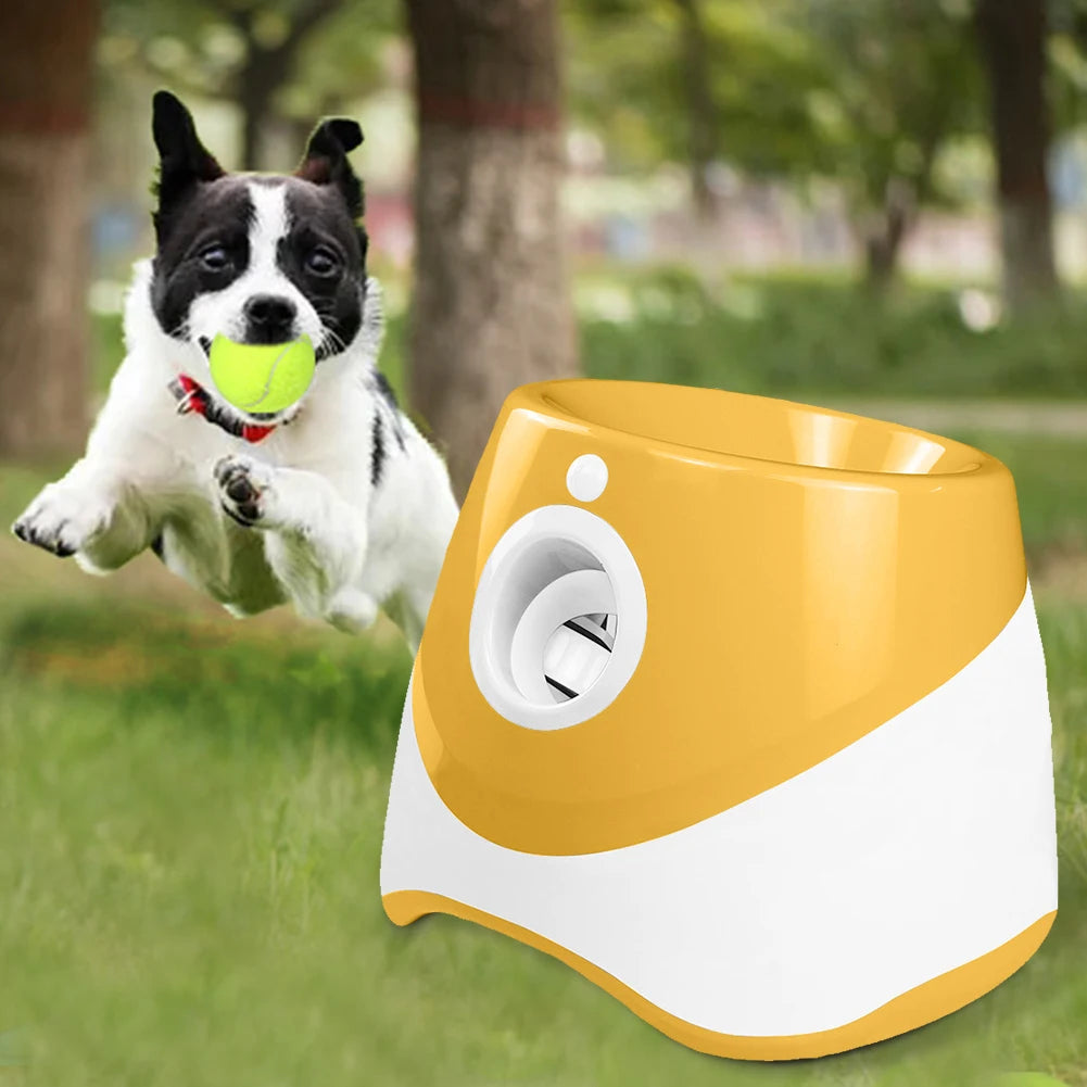 Automatic Pet Dogs Chase,  Fun Interactive Throw Toy