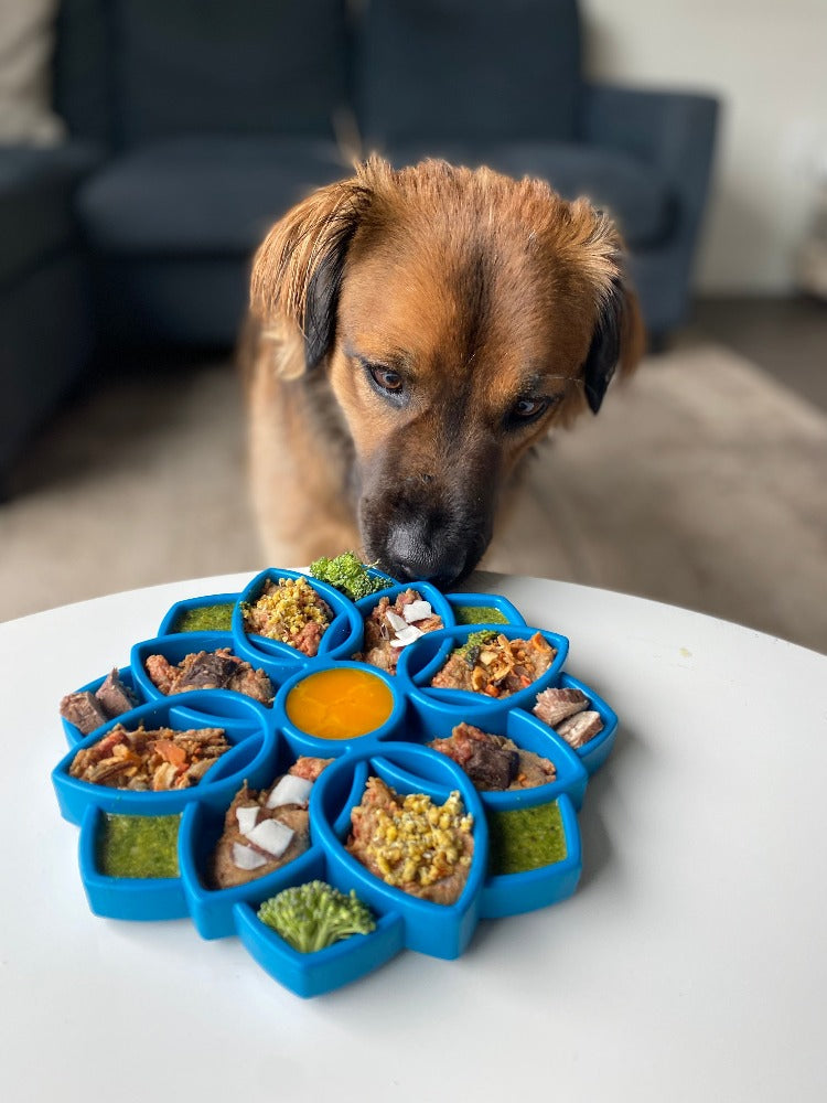 Mandala eTray Shallow Slow Feeder Dog