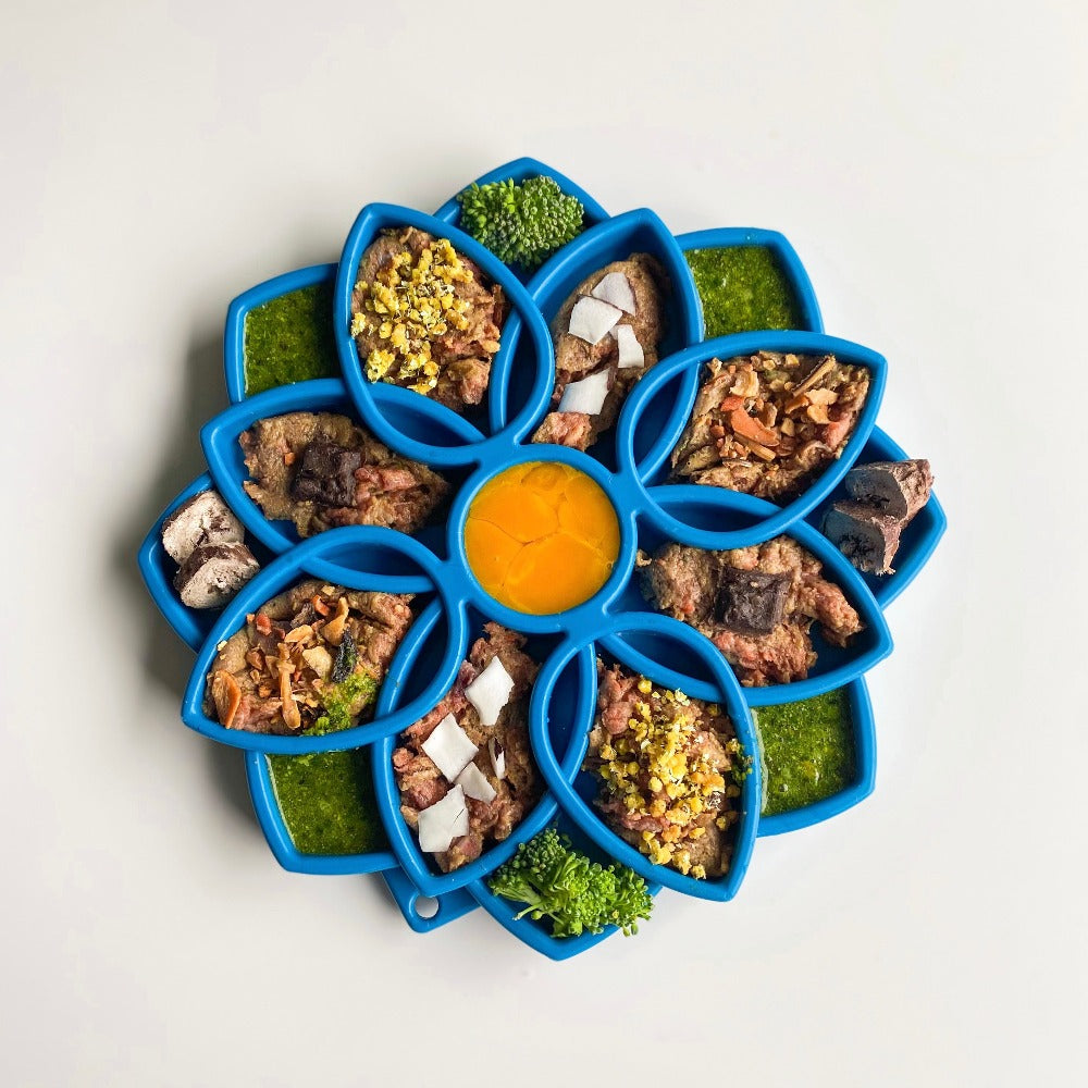 Mandala eTray Shallow Slow Feeder Dog
