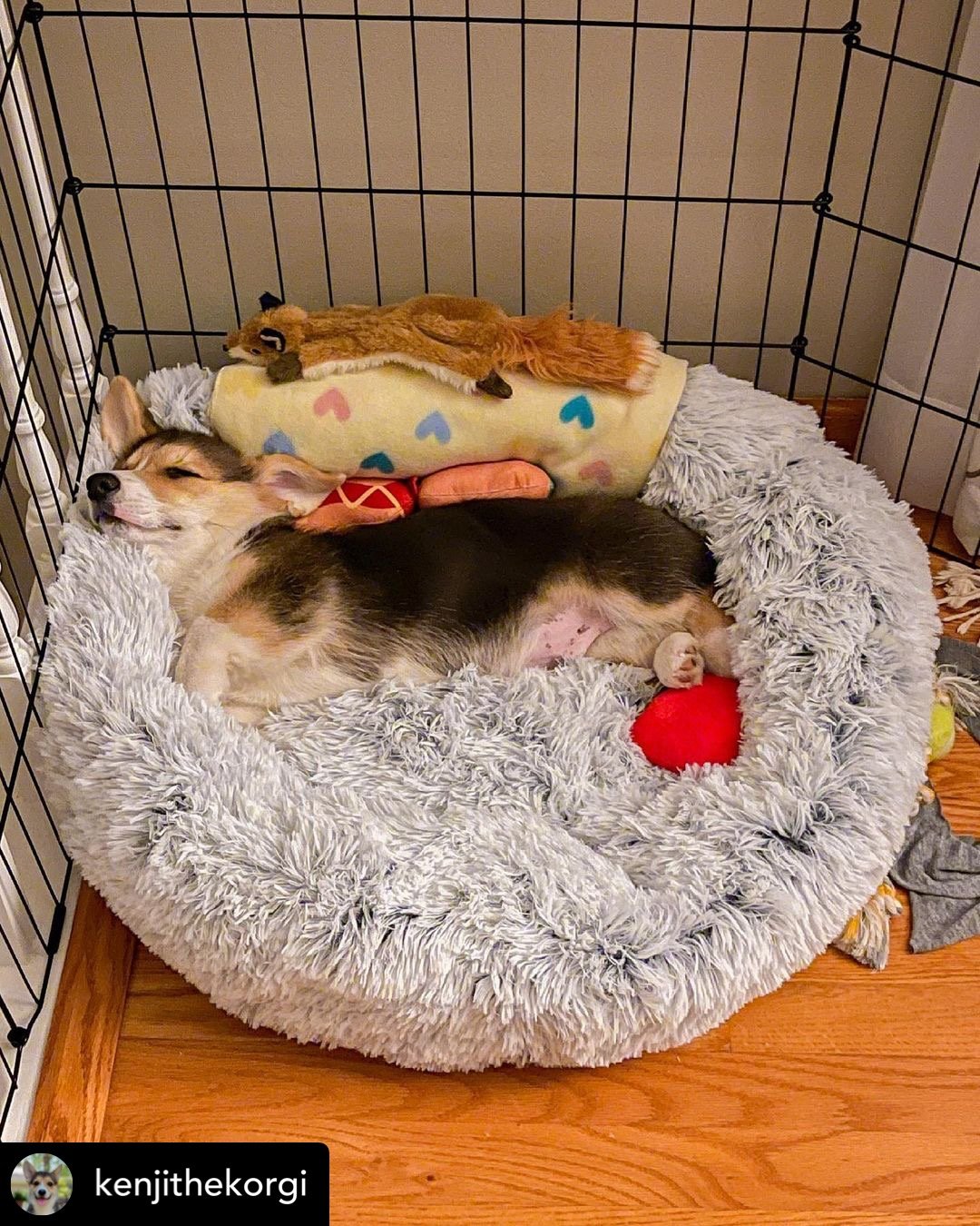 Mr. Peanut's 28" OrthoPlush® Pet Bed